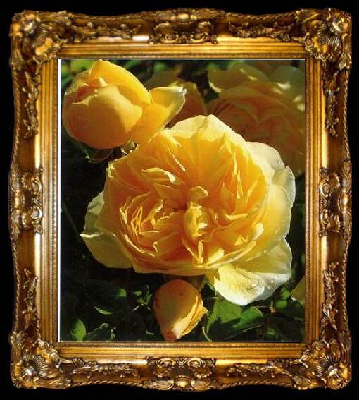 framed  unknow artist Still life floral, all kinds of reality flowers oil painting  354, ta009-2